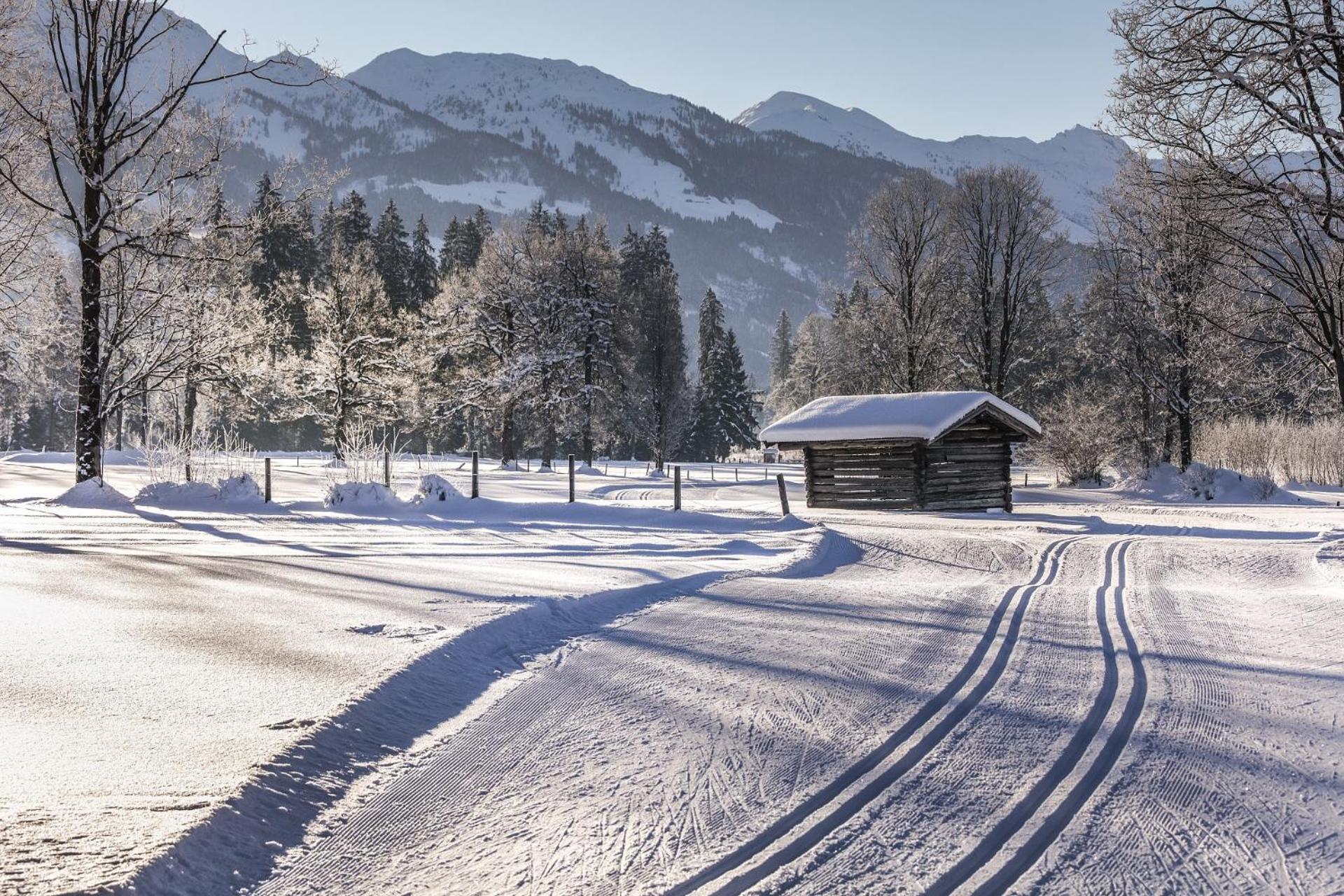 Pension Wolfsegg เคิร์ชแบร์ก อิน ทิโรล ภายนอก รูปภาพ